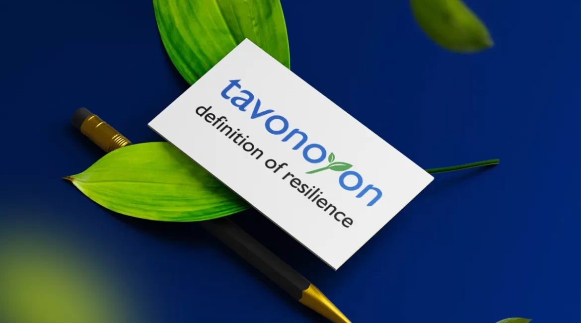 Раззработка логотипа компании Tavonoyon 4