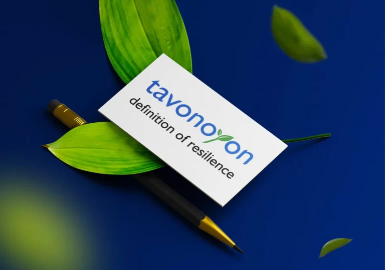 Раззработка логотипа компании Tavonoyon